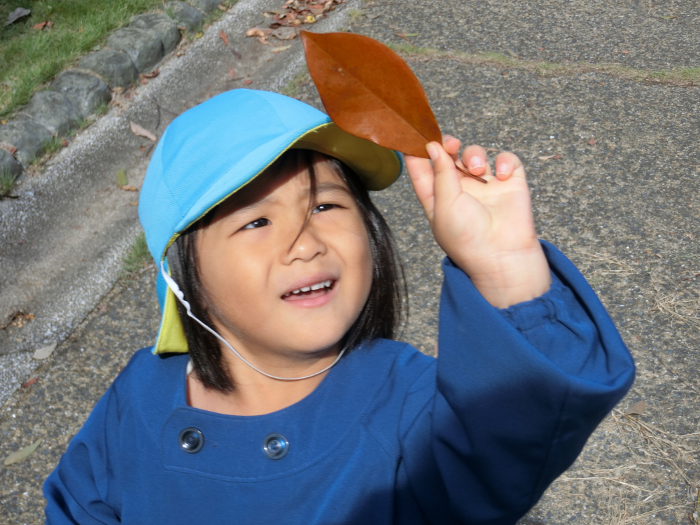 秋の東尾道公園に　お散歩・・・

春にはなかった　“どんぐり”　や　“茶色の葉っぱ”　が沢山
季節のうつろいを感じる秋です
“自然”の中で、子どもたちの感性が育っています



お日様にかざしてみれば・・・