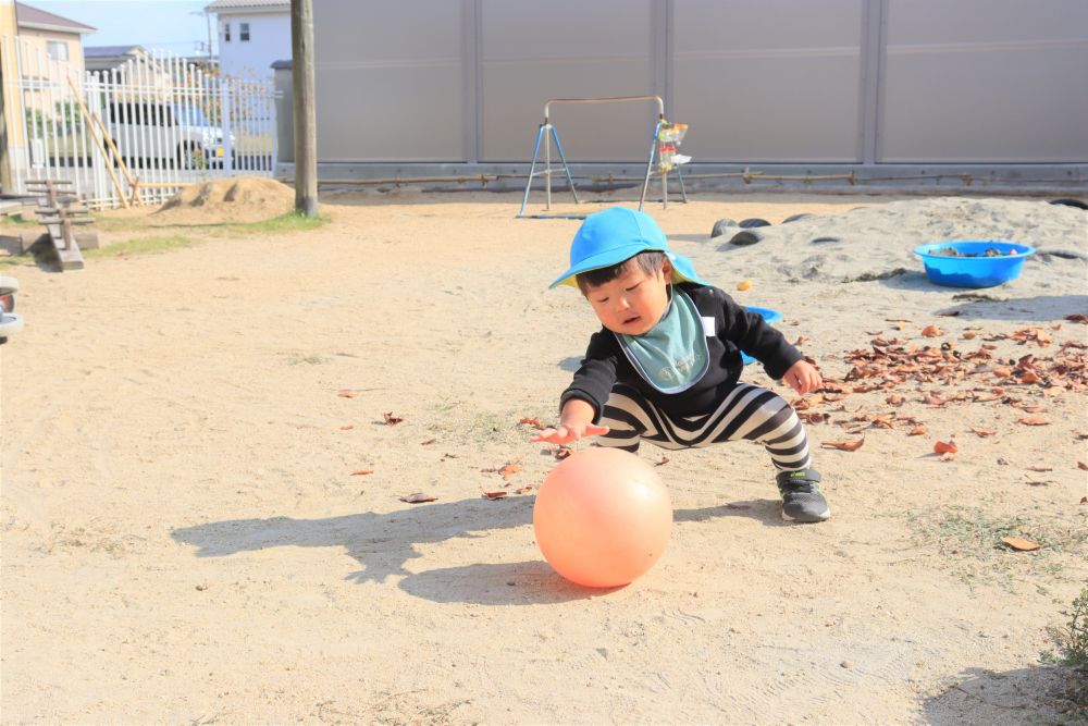第一園庭
0歳児ウサギ組のＫ君
ボール遊びに夢中・・・

写真を撮っていると
