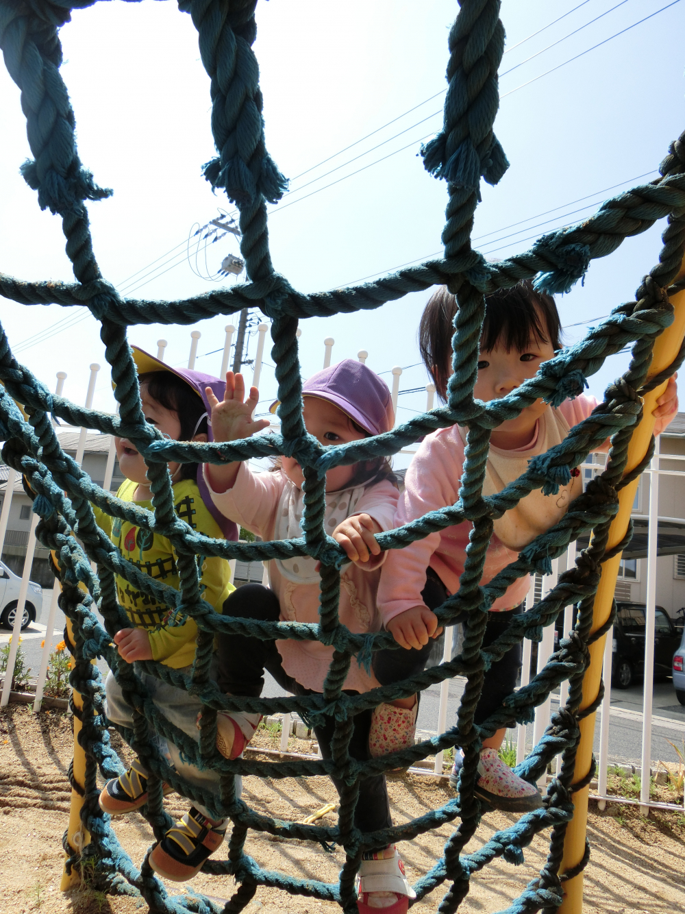 よいしょヨイショ!!てっぺんまであと少し‥٩(^‿^)۶