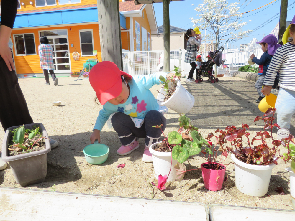 認定こども園で・・　公園で・・・
生き物とであうこと、いのちあるものに触れるいい体験



どこ？