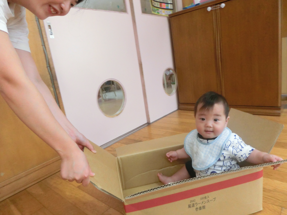 ちぇんちぇい~がんばって(@^^)ノ~~