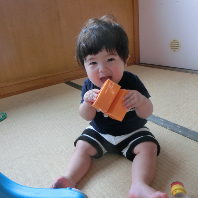 良い物、み～つけた!(^^)!