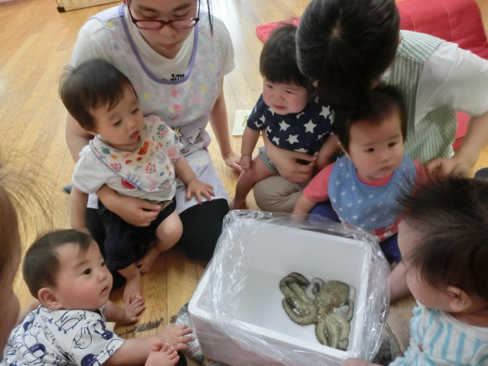 遊覧船の手土産は・・・タコ