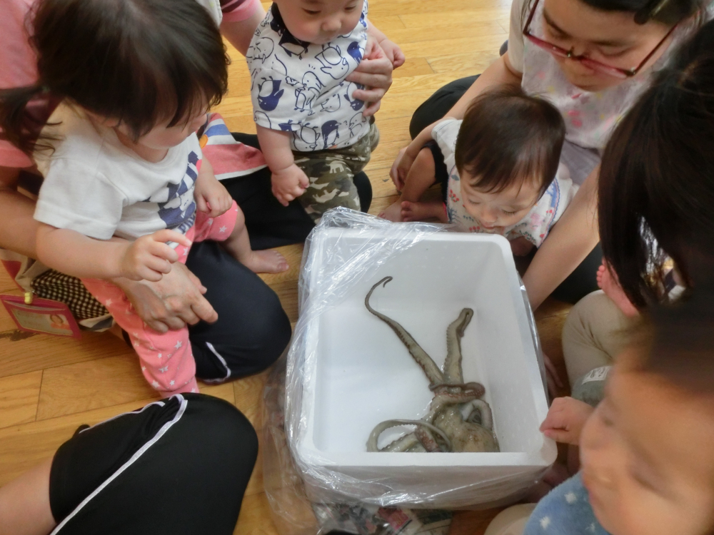 いきが良い