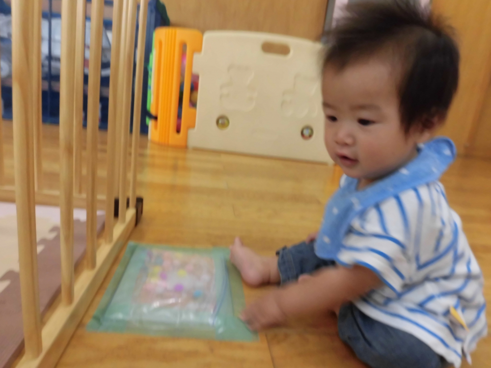 なんだなんだ・・・これ・・なんだ・・( ゚Д゚)??