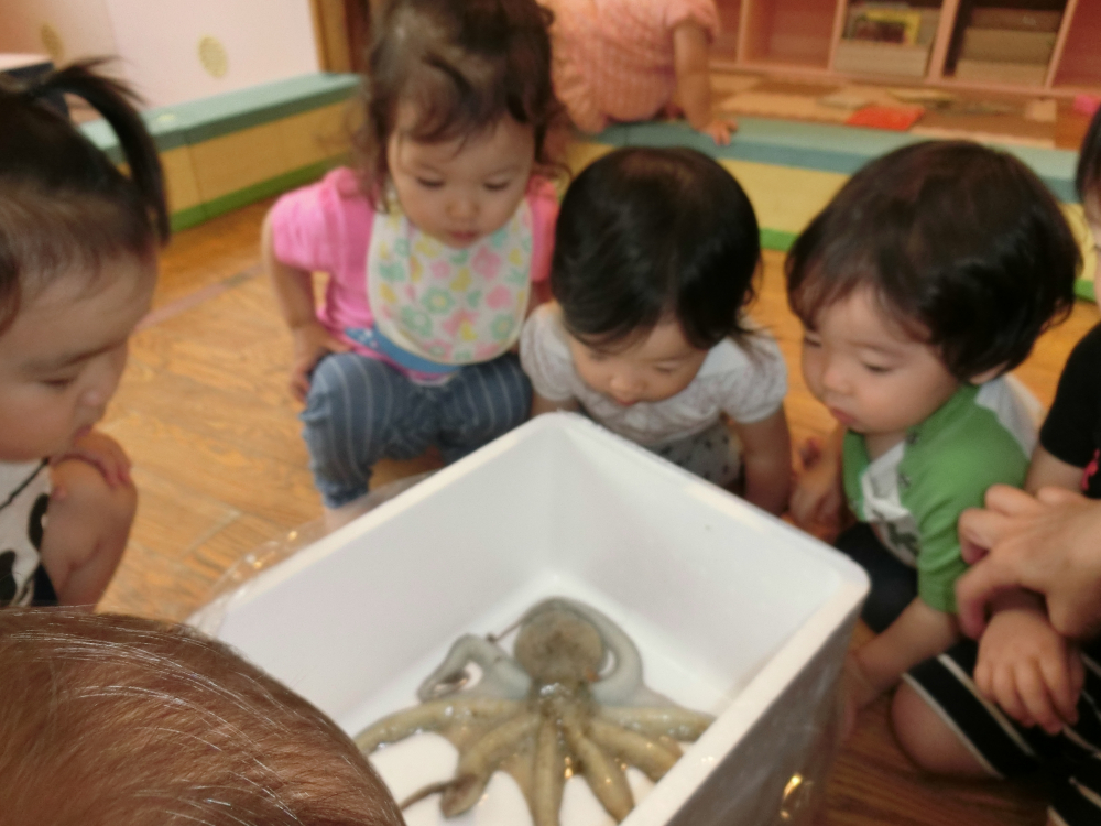 なになに・・これ・・何( ゚Д゚)??