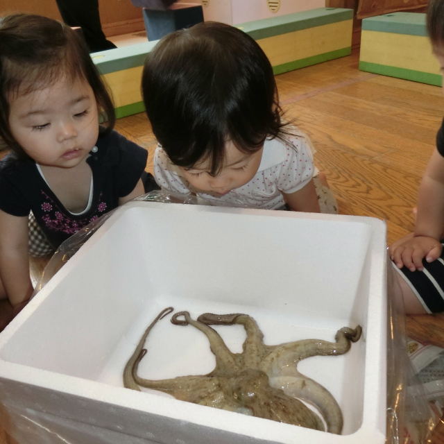 まだまだ続くよ・・