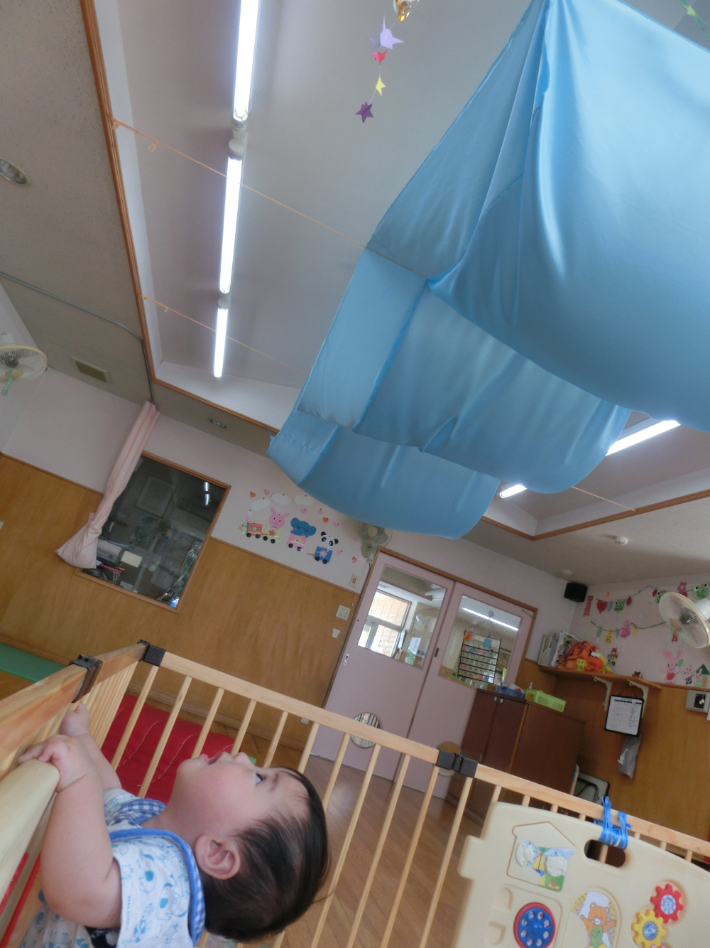 何だなんだ( ゚Д゚)??なんで、フワフワしてる~??俺ちゃまの首が~(≧▽≦)