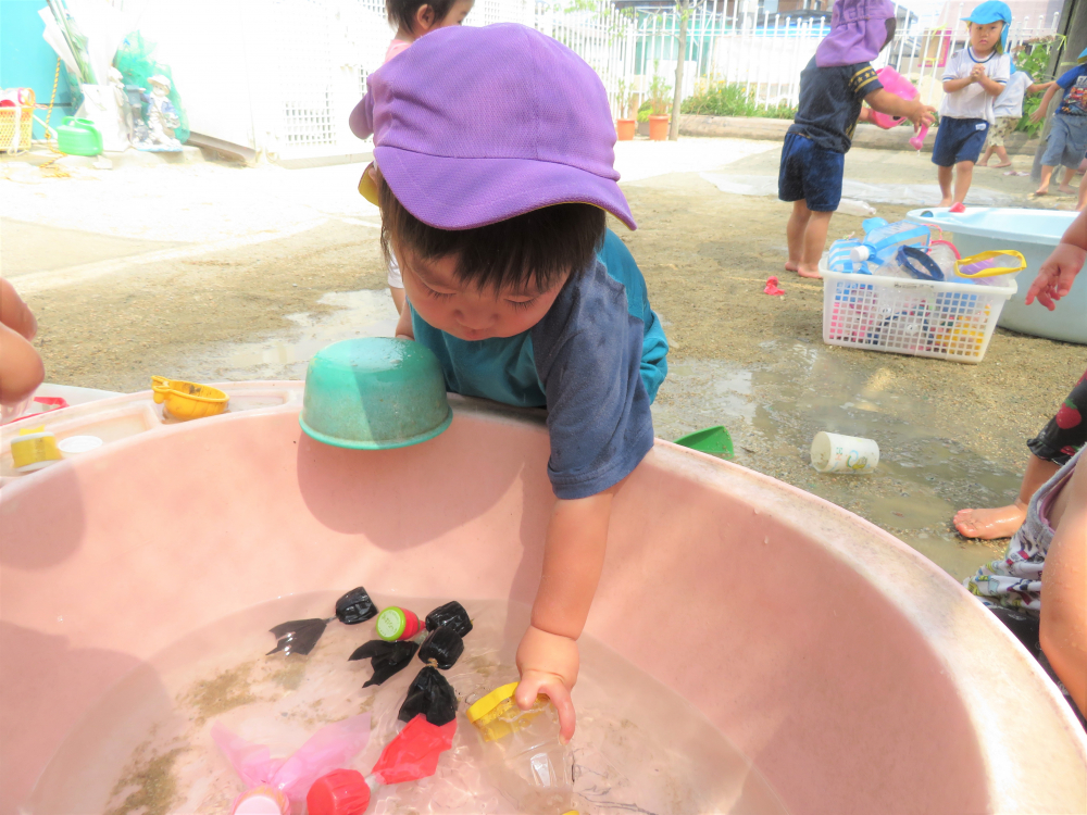 もっかい！
水は心地よいものです。
何度も繰り返して遊びます。



水の中には・・・　金魚・・・
入るかな？
入れたり・・・　出したり・・・