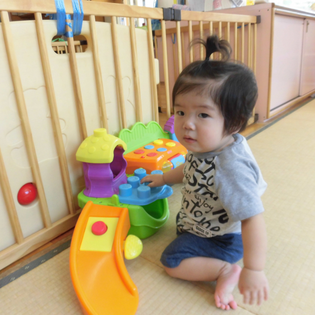 演奏会を始めようかな～♪♬