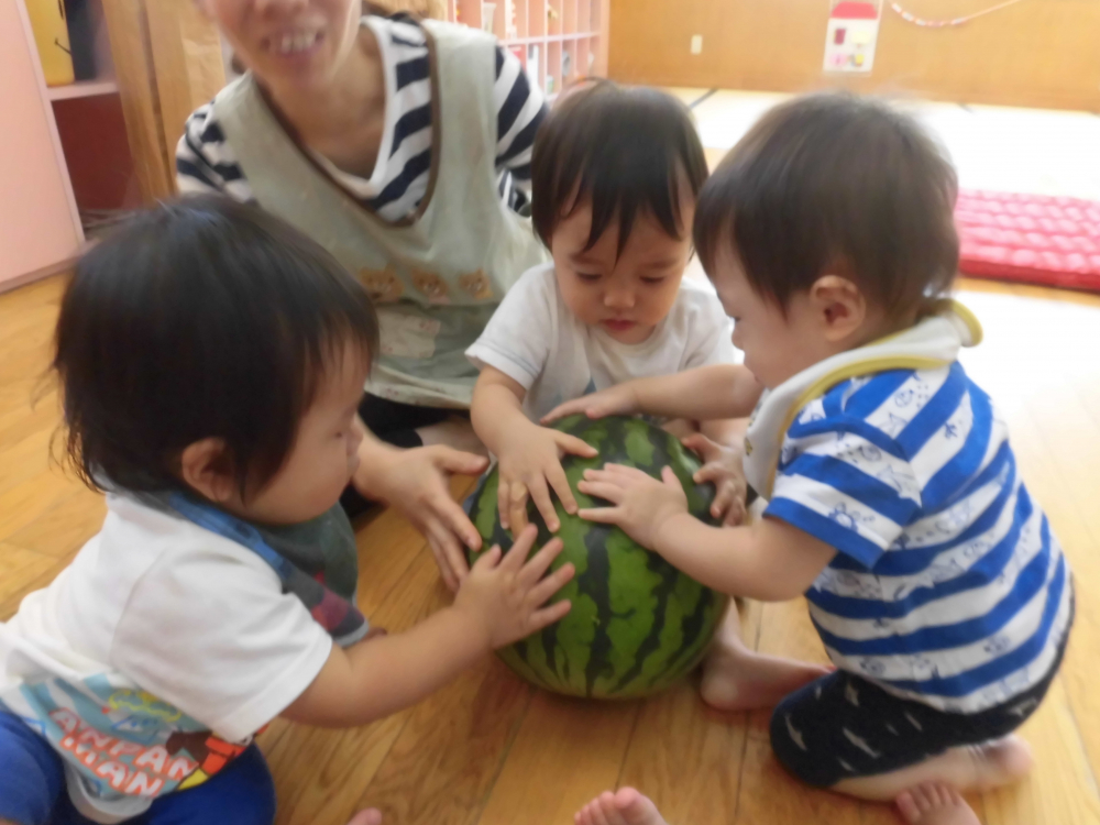 これ・・ど～やったら・・食べれるんだ～？？？？・・・割れたら・・せんせぇ～食べちゃうからね～(^_^)/~