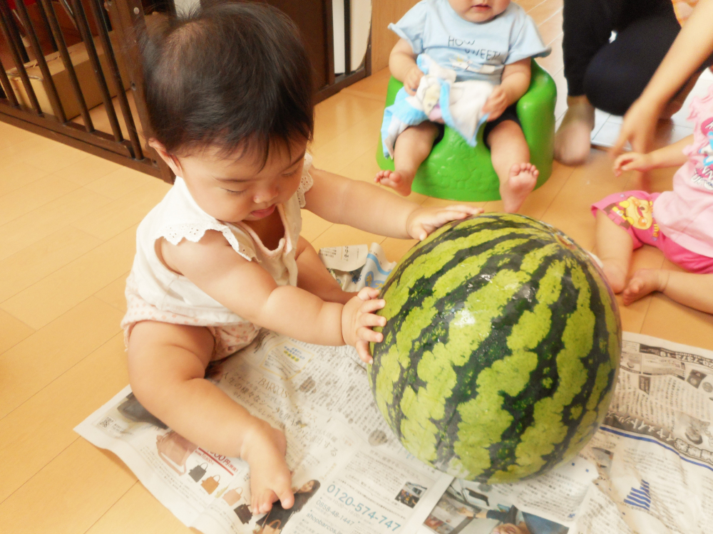 大きなすいかを触ってみよう!!!
両手で触って感触を確かめます。
「冷たくて気持ちいいーーー」