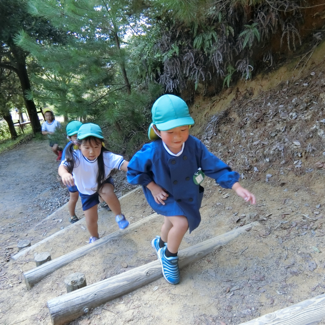 ＊　4・５歳児　秋の遠足②　＊