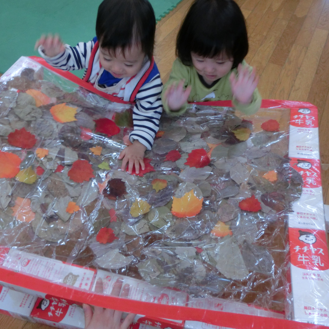 秋を触ってみたい～(^.^)/~~~