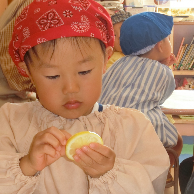 ＊　３歳児　お料理教室(レモンクッキー)　＊