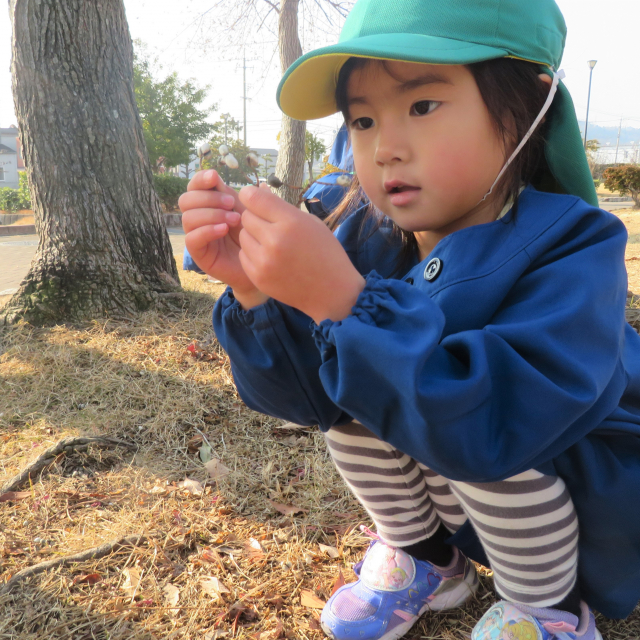 ＊　４歳児　冬の自然の中で　＊