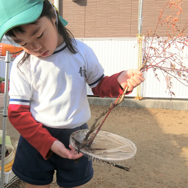 ＊　４歳児　バケツの中に・・・　＊