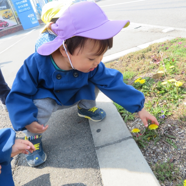 お散歩　大好き♪