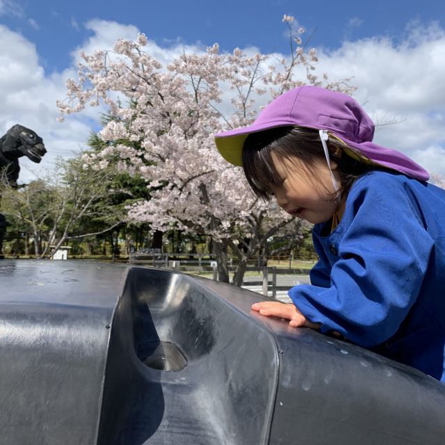 きょうりゅう公園