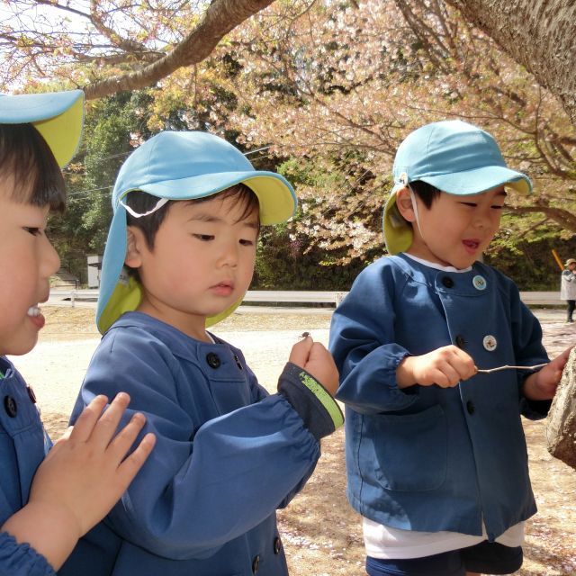お弁当の日　４歳児（ゾウ組）