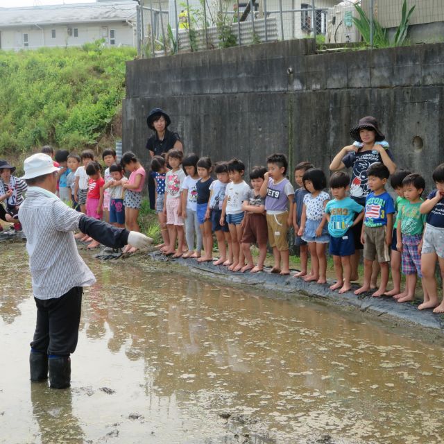☆田植え　キリン組