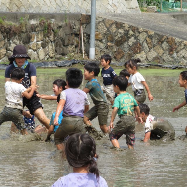 田植えからの『どろんこ祭り』