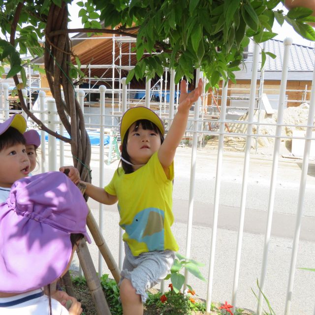 ＊　２歳児　どんな　におい？　＊