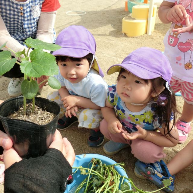 なにができるかな？？　　(2歳児)