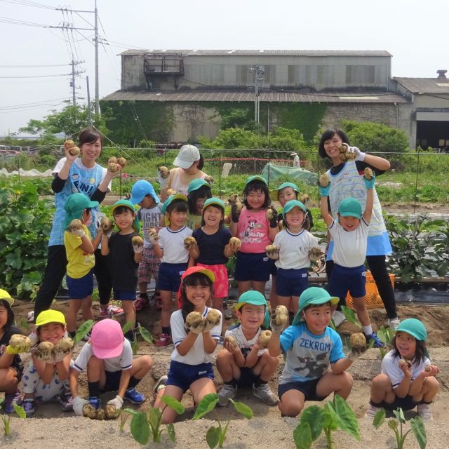 ＊　５歳児　じゃがいもほり①　＊