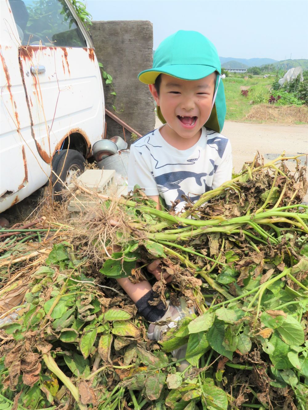 なんでも【隠れ家】になります
子どもは隠れるのが大好き