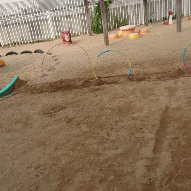 今日も子どもたちの『やってみよう！！』の顔が見たい( ^o^)ﾉ