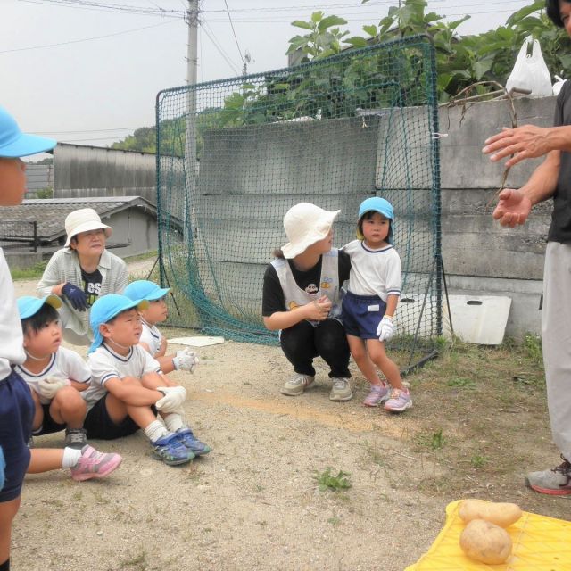 ＊　４歳児　菜園活動（おひさまグループ）　＊