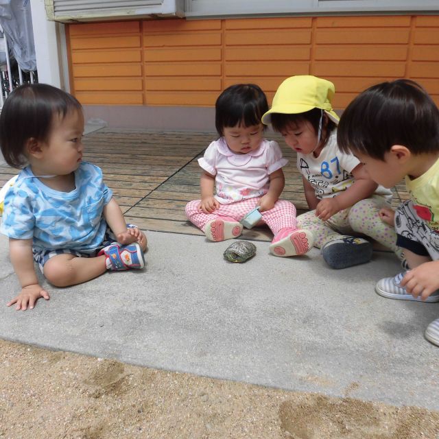 もしもし・・・カメ吉くん・・・どこいくの・・・(>_