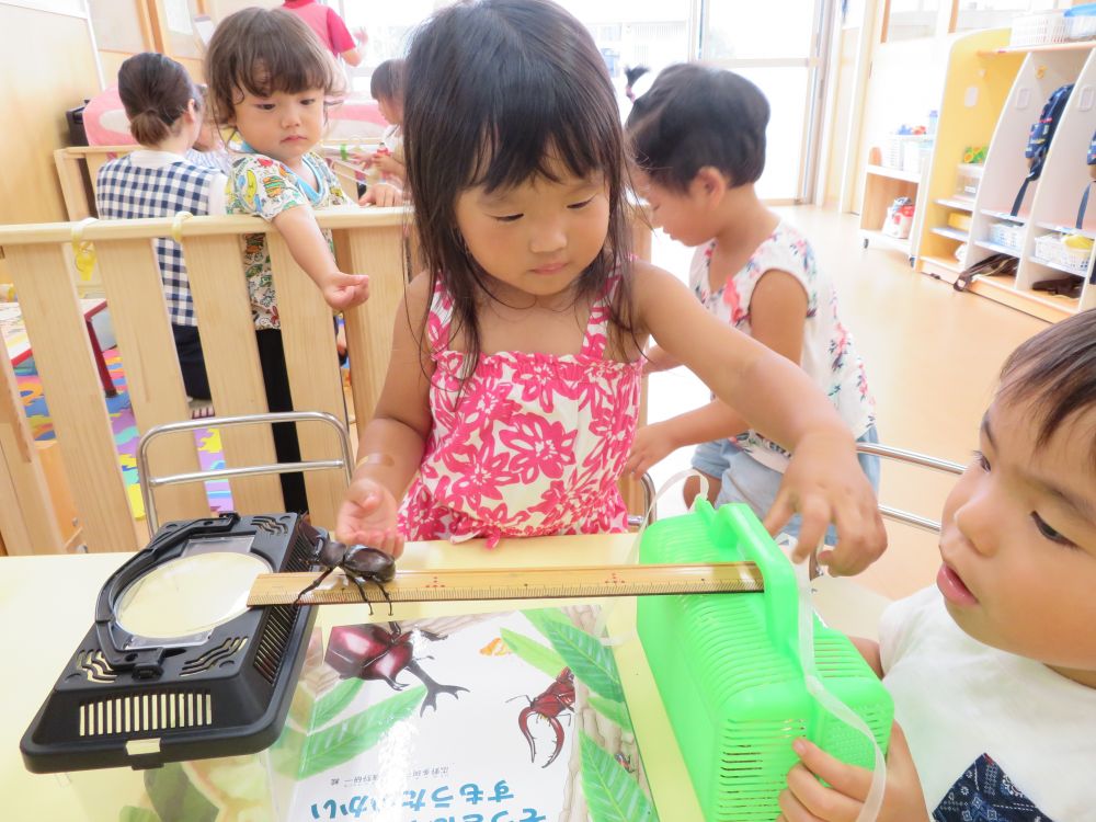 「かぶくん　橋渡るの上手ね♪」