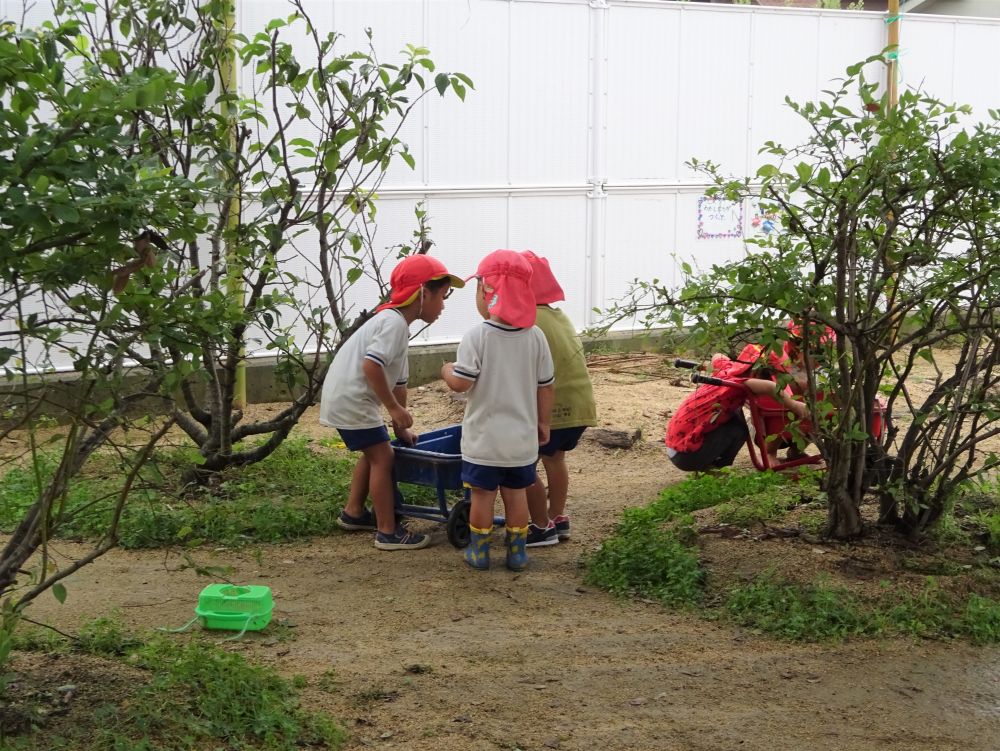 子どもたちの会話に耳を向けると・・・
ただ、“虫捕まえた”・・・　だけではなく

“この虫は何食べるんだろう・・”
“バッタはバッタでも、何ていうバッタ？”
“高く飛ぶね”　など、友達同士話しています

環境に自らかかわることで、発見も増えているようです



「バッタみつけた！」
「何食べるかね？」
「ぬれた葉っぱじゃない？」
リス組さんは、調べる前に、試すようです・・・
