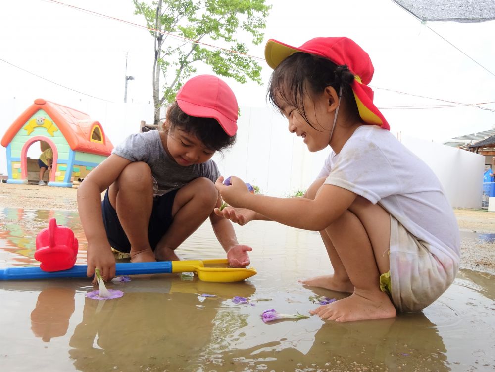 １つ１つのアサガオを動かしながら・・・

「お母さん、いってきま～す」
「いってらっしゃーい」
「お母さんただいま～」

「あ・・・、沈んだ・・・」

創造しながら遊ぶなかで、現実にもどる・・・
そして、また創造の中へ・・・
面白いです♡