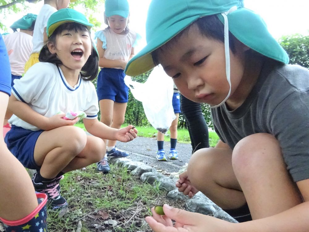 ー　どんぐり、落ちてるんだね～　－
と話すと・・・

「でもね、どんぐり、ほとんど、帽子被ってるよ」
「落ちたばっかりなんかね～」

ー　確かに・・・　－　
１０月、１１月頃に来た時は、ほとんど、どんぐりの実だけだったような・・・

子どもたちは、経験した記憶と、現在を見比べながら、不思議さを味わっています
