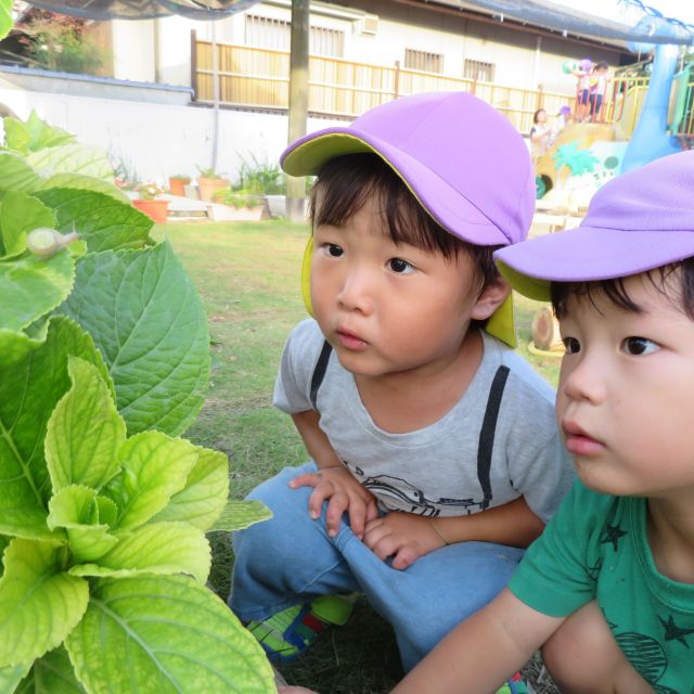 ＊　2歳児　かたつむり　＊