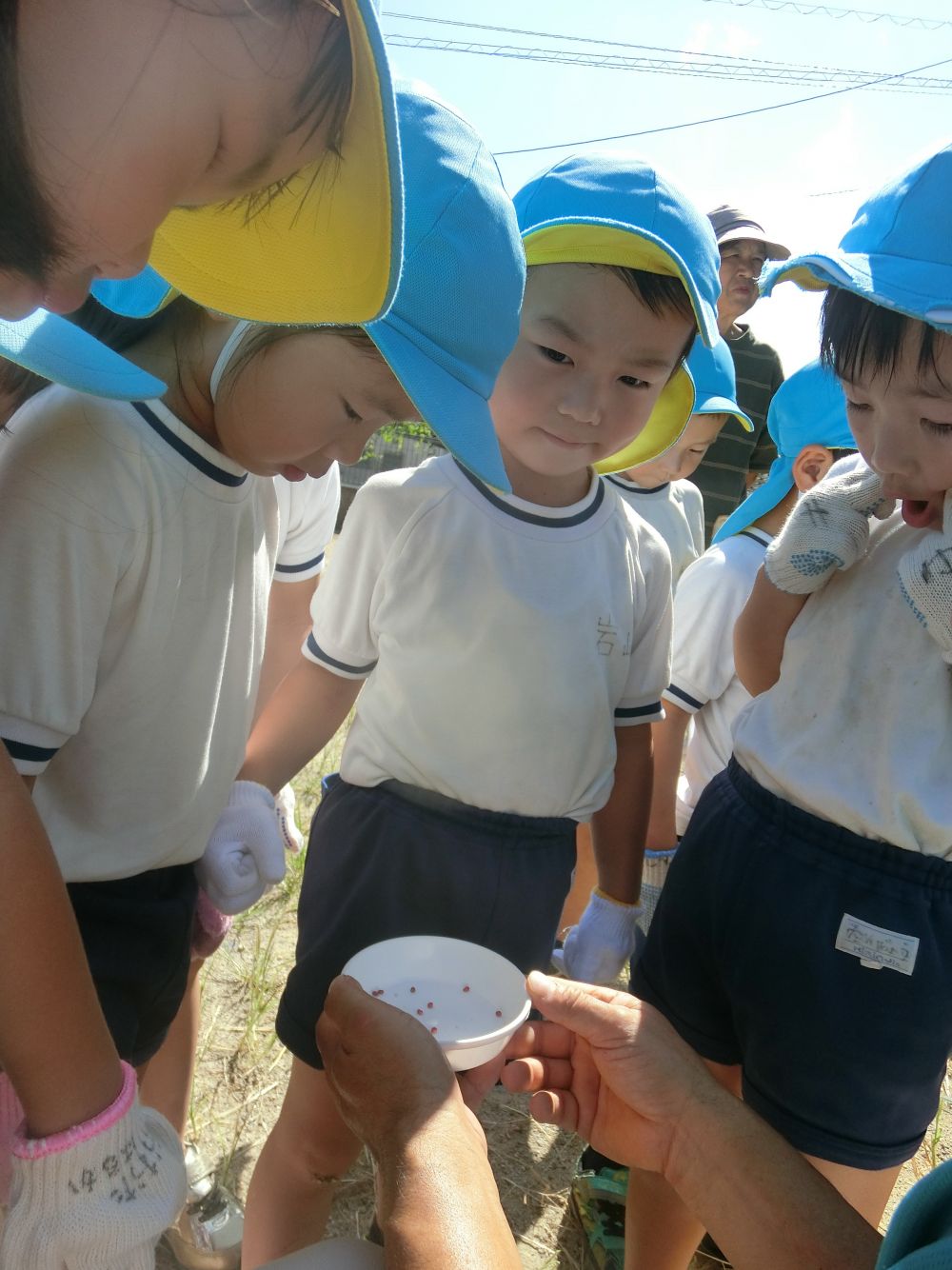 ２回目の菜園活動に出発！！
久しぶりの菜園活動なので、みんな元気いっぱいです♪

今日は、大根の種を植えます。
まず初めに、大根の種の色を聞いてみると、
「しろいろ」
「あかいろ」
「レインボー」
「きいろ」
と、いろんな色が出てきました♪