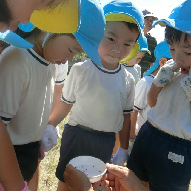 ＊　4歳児　菜園活動（みずグループ）　＊