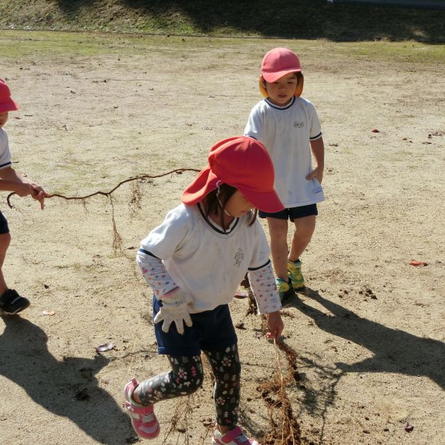 根っこ　＊3歳児＊