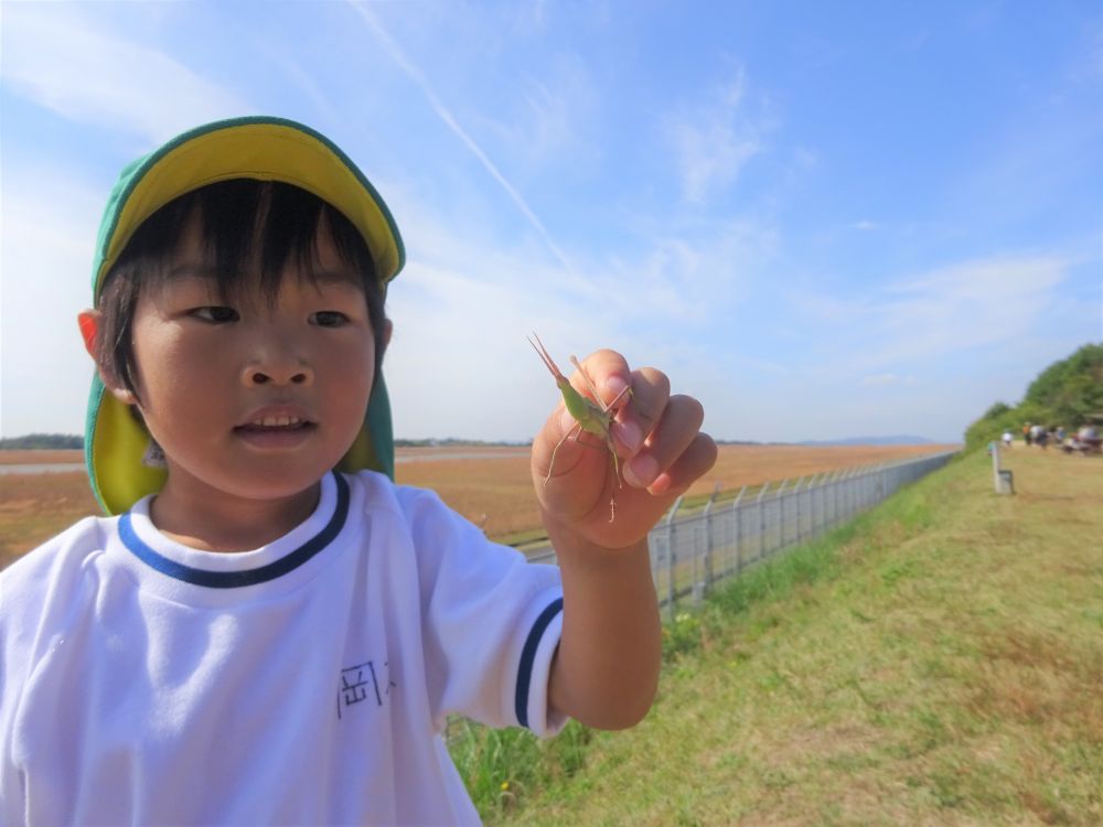 こんなに大きなバッタも！
子どもたちには楽しいことがいっぱい詰まった公園です
