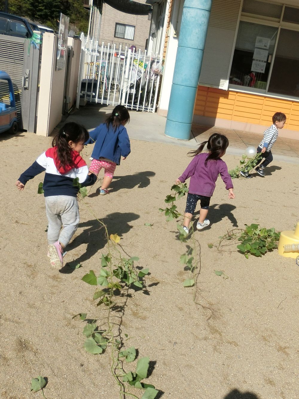 掘り終えた後に残ったお芋のツル。
園庭に置いておいたら・・・ひとりふたりとひっぱって走り始めました。

何気なく始まった遊び。
楽しくて仕方ない様子でキャッキャと笑いながらしばらく続きました。