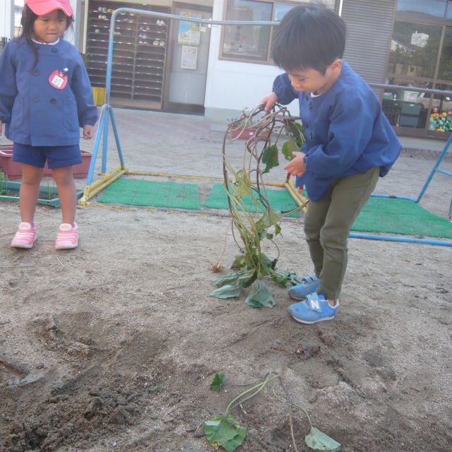 おいも　　＊1・2歳児＊