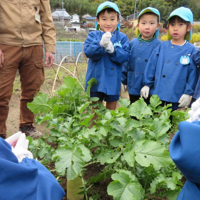 ＊　４歳児　菜園活動　（みずグループ）　＊