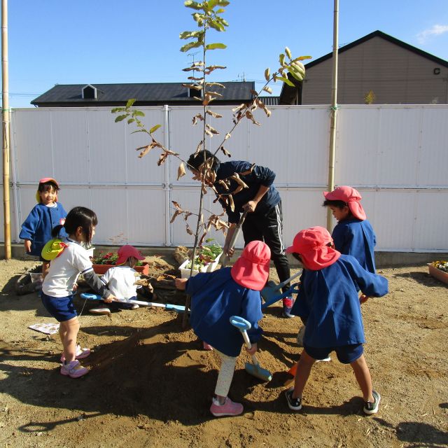 ＊　３歳児　力を合わせて！　＊