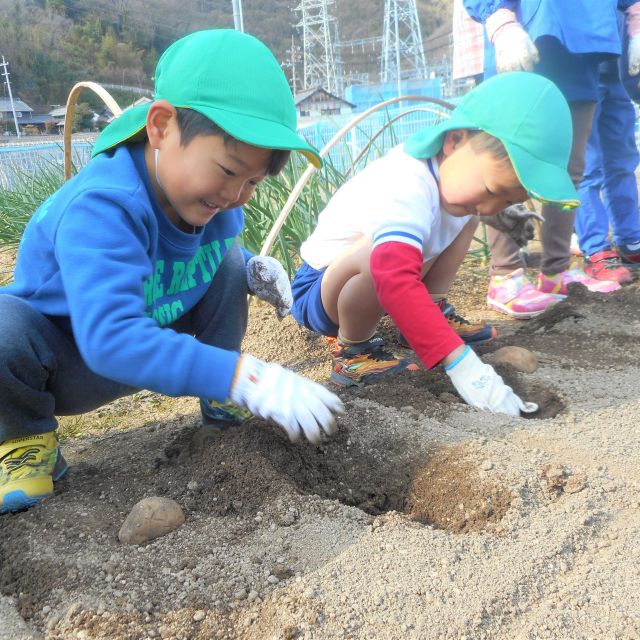 ＊　5歳児　菜園活動　＊