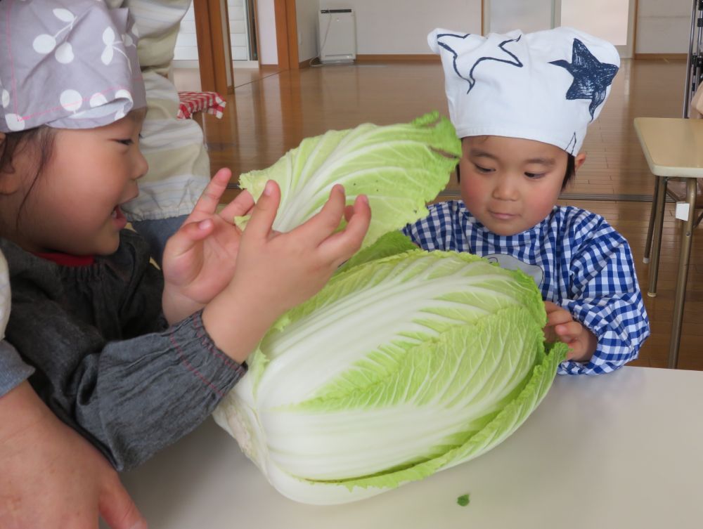 ゆめはうすのリス組さんと一緒にお料理教室♪
　　大きな　”はくさい”　
ぼくの顔、隠れそう・・・。