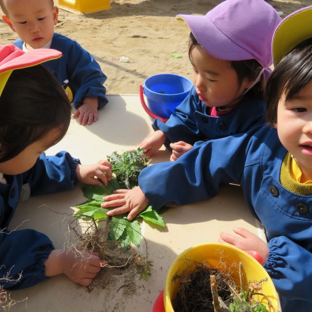 花壇をきれいにしたよ