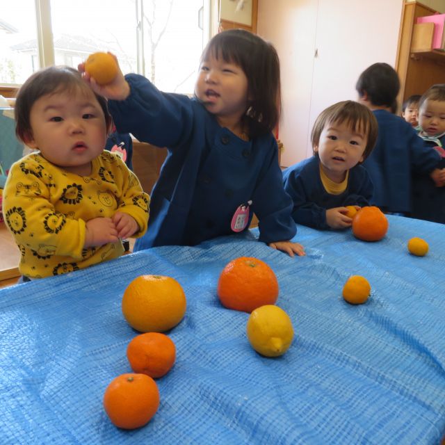 旬のくだものがいっぱい！　～0歳児～　①